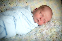 9-29-2015 Holloway, Oliver's Newborn Photos