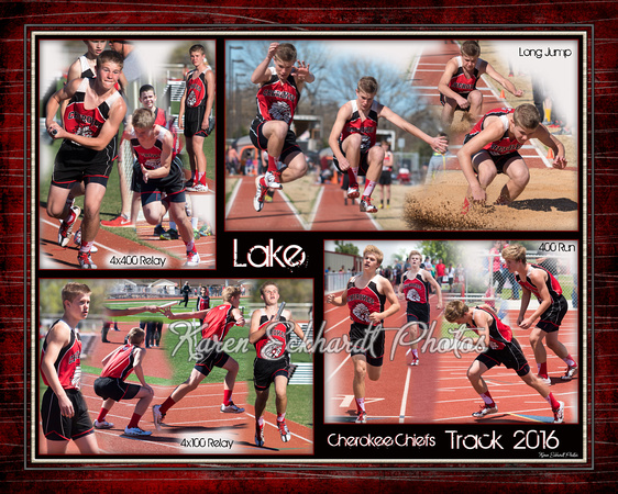 20x16 Lyons_Lake Track2016