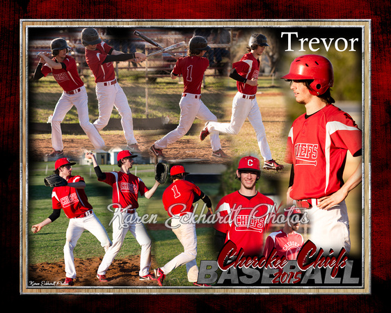 8x10_Lucus_Trevor Baseball 2015