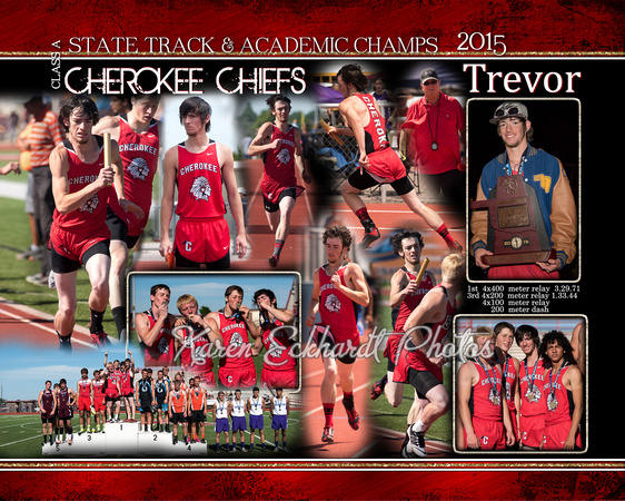 8x10 TrevorTrack State 2015