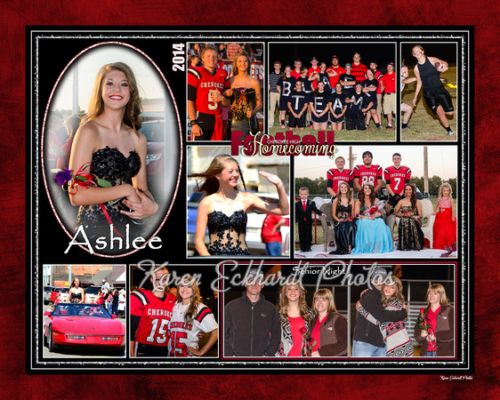 20x16 Ashlee FB Homecoming Collage 2014 copy