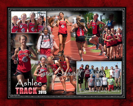 20x16 Ashlee  Track Collage 2015
