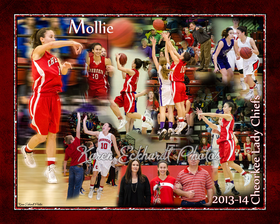 8x10 Mollie-BB Collage 2013-14_edited-1
