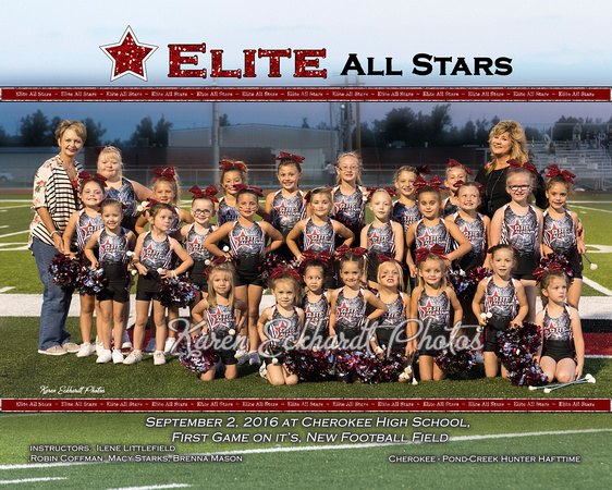 10x8 9-2-2016 Elite All Stars Group
